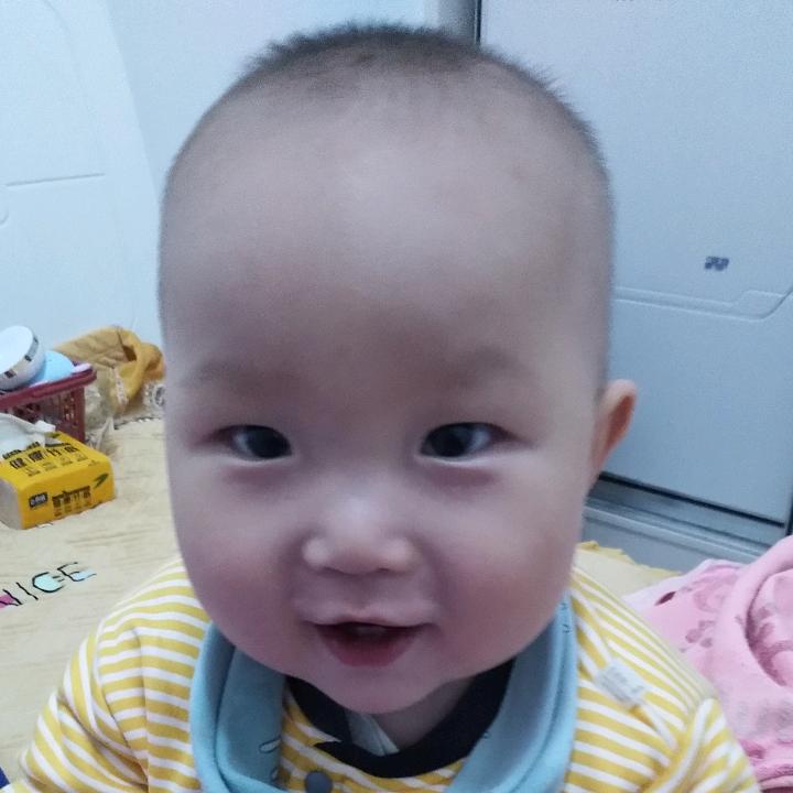 陆影