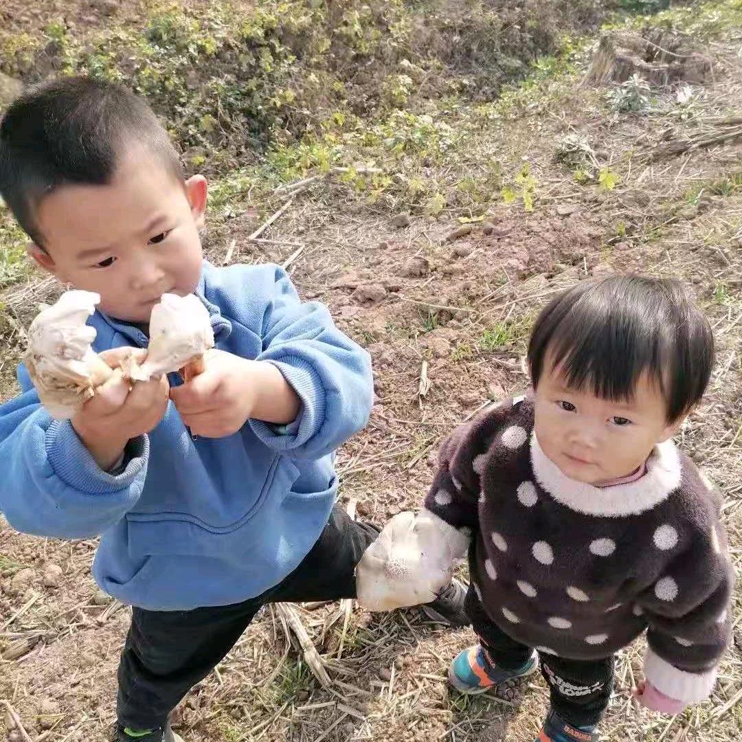 泡沬
