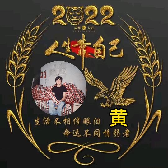 专业贴纸皮砖啊兵