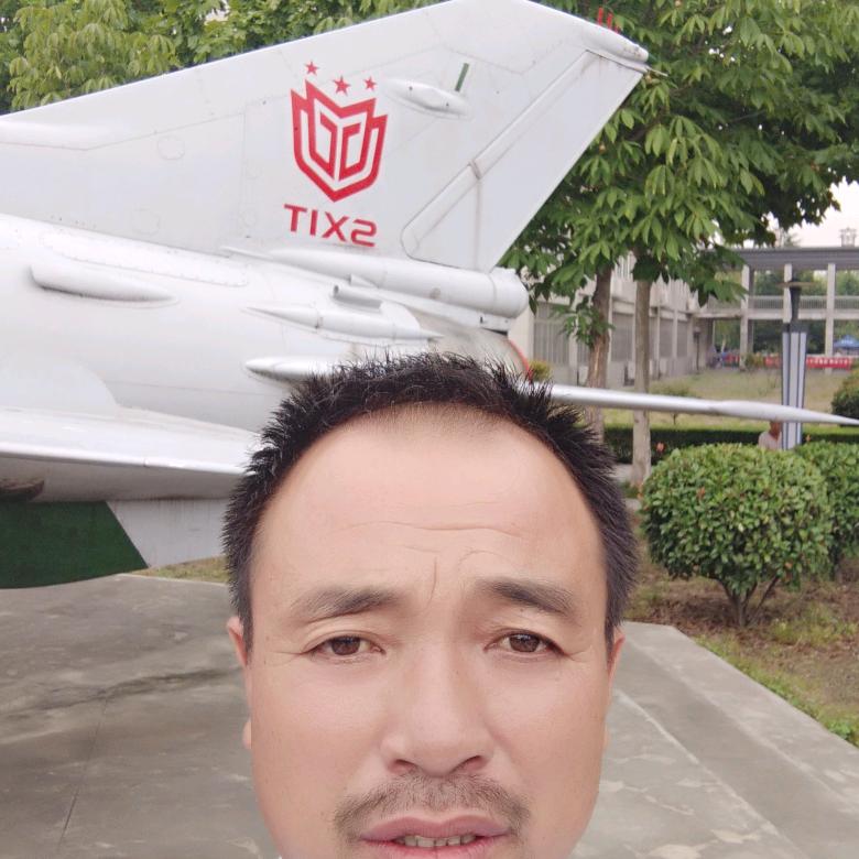 绿树