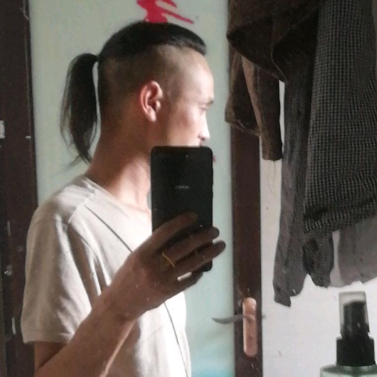 游子.枫