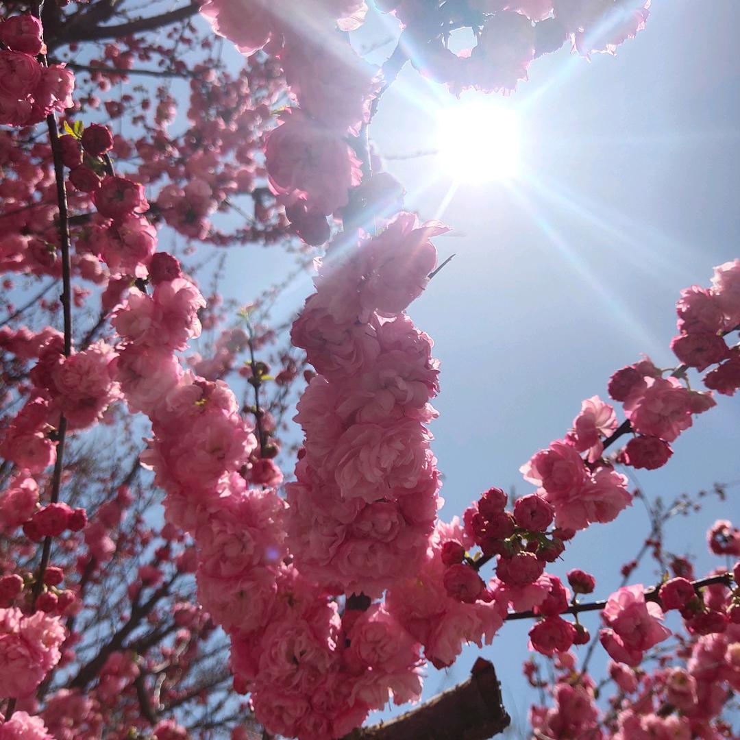 好听音乐！！！