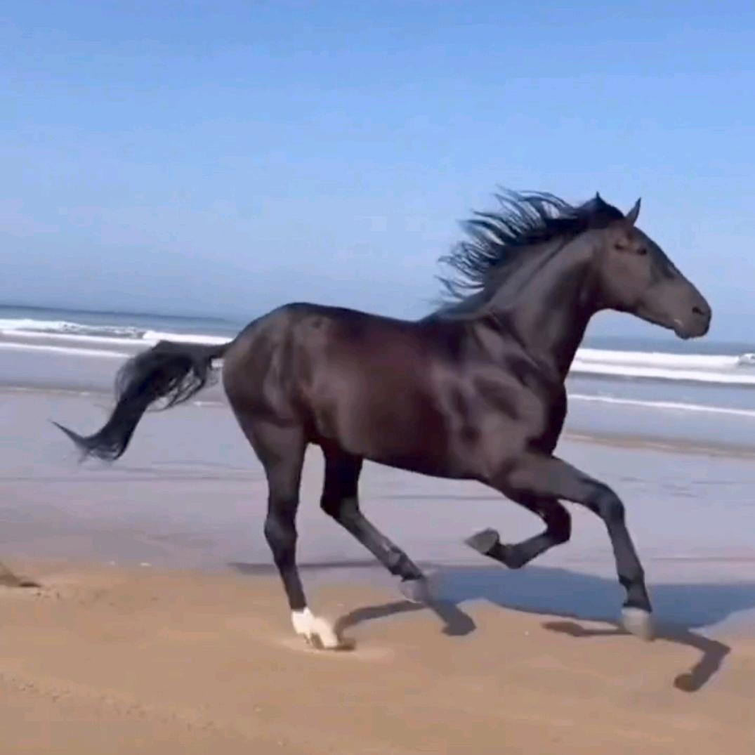 天魁