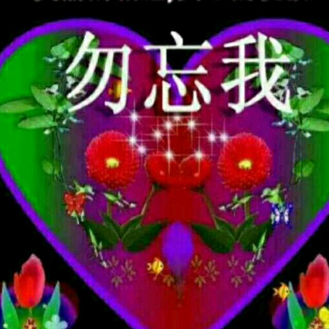 勿忘我1314520
