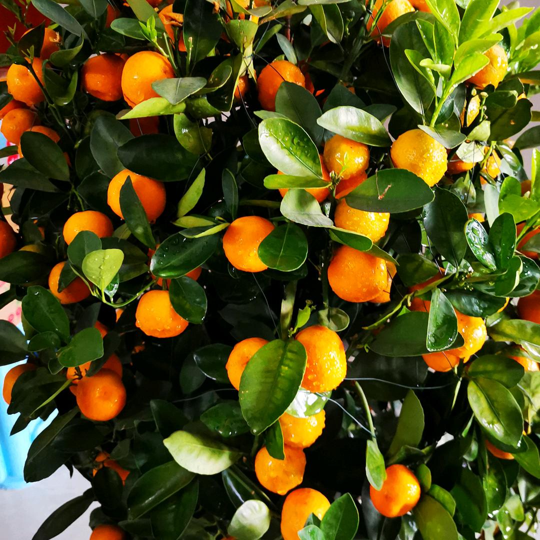 惠州市惠城区水口万年幼儿园