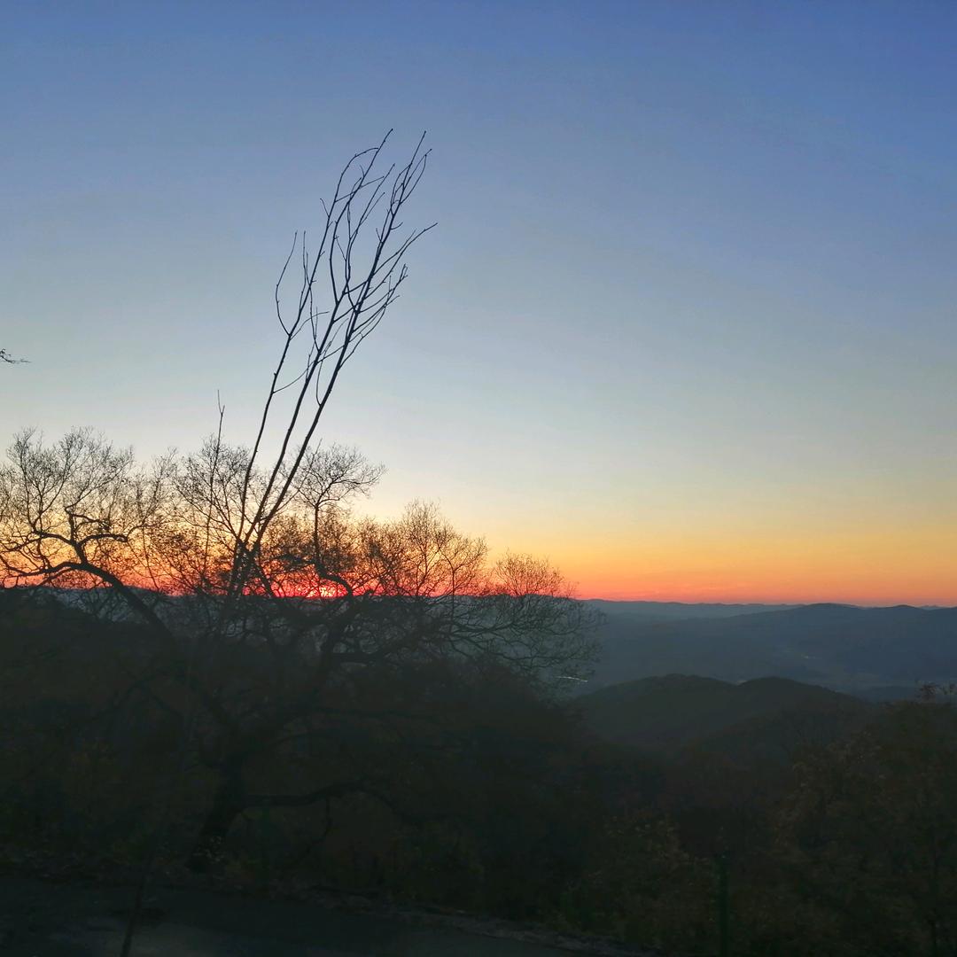 兰花草🌸用户1365214446354