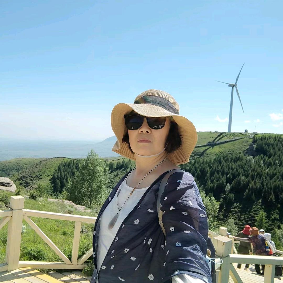 兔宝去旅行60