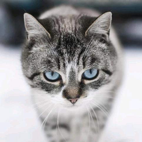 花果山农家小院