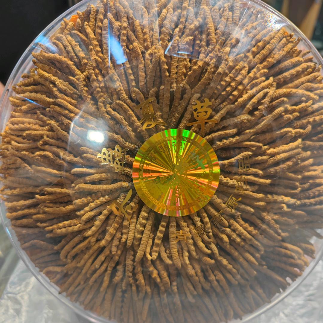藏奇珍特产