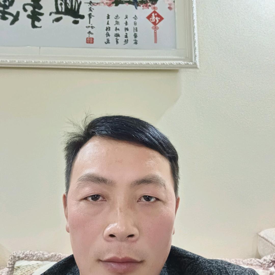 贴砖军哥