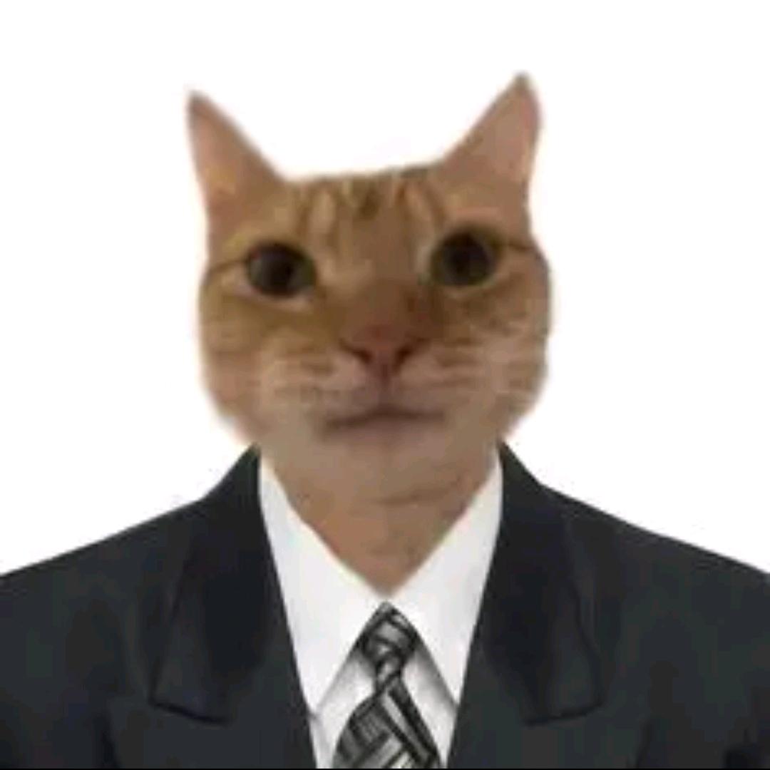 猫星球驻地球大使