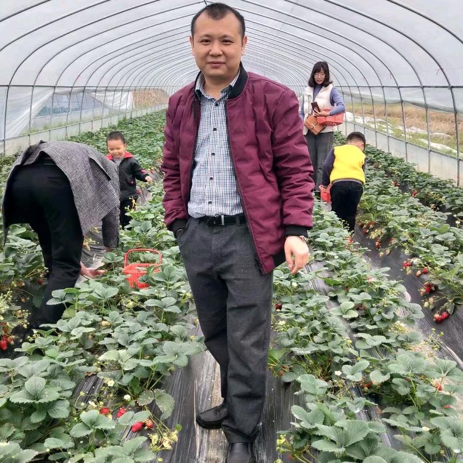 刘书芳