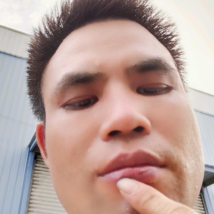 上海诚盛物流成都重庆