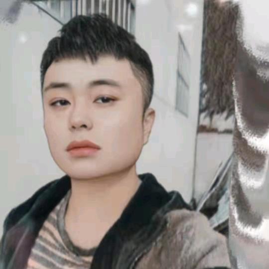 山有木兮木有枝。