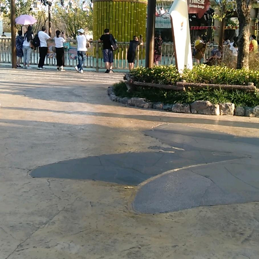 故宫里的大树