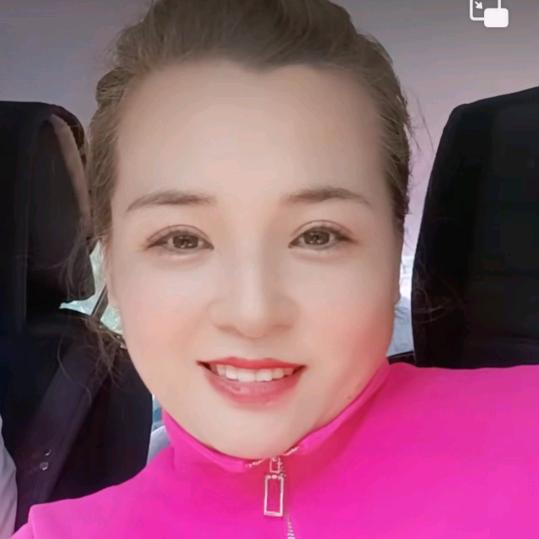 燕子东南飞W