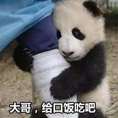 凌云