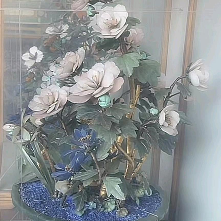 玉兰花