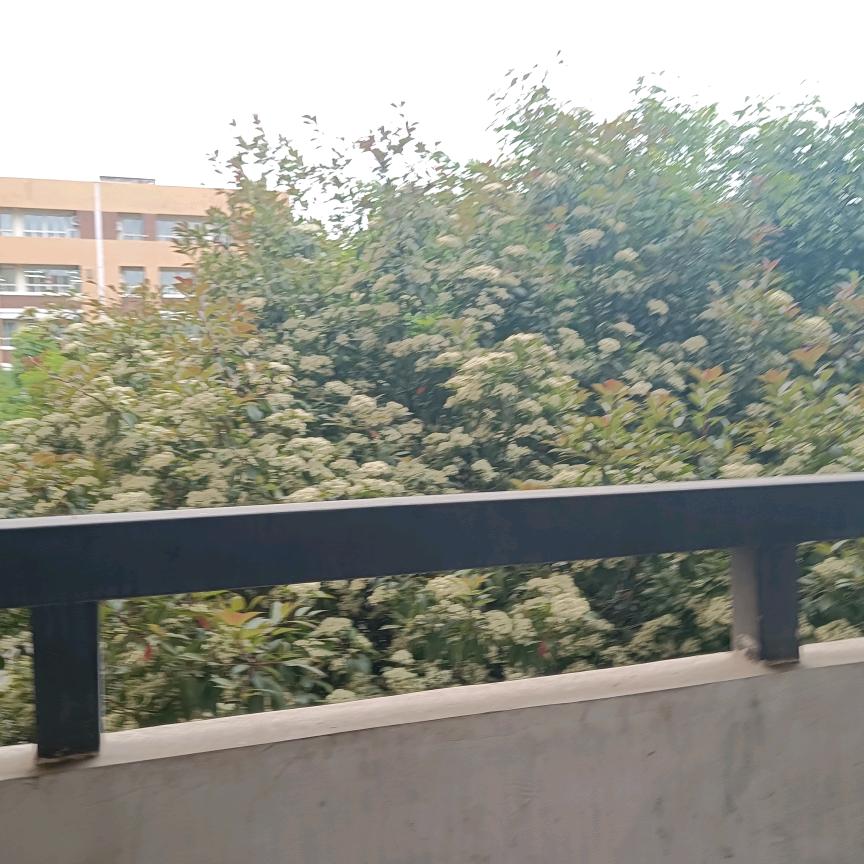 清风明月