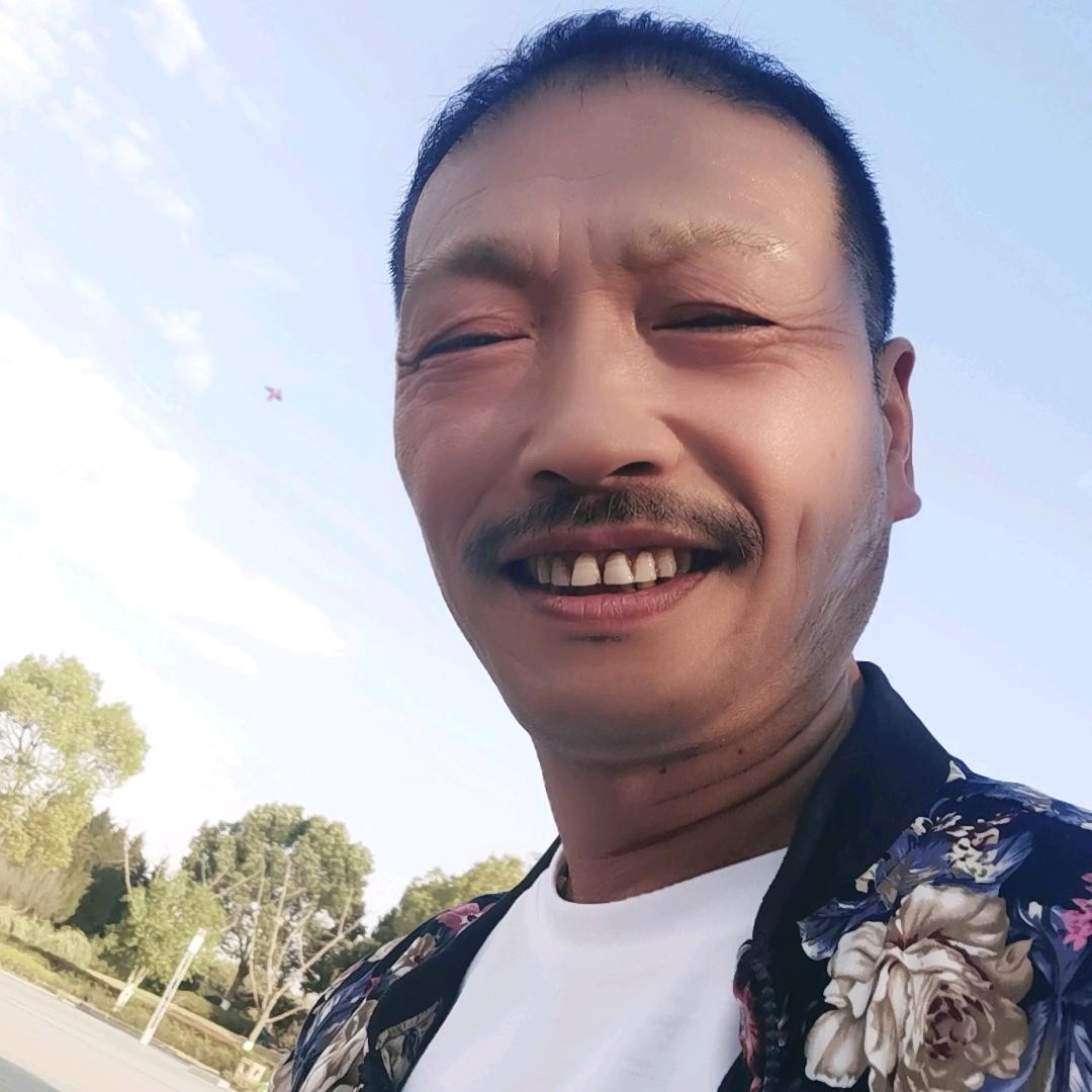 🐉金龙🐉