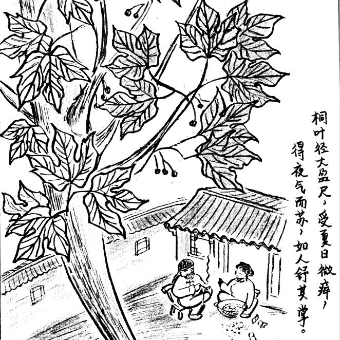 yanyan