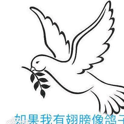 【天佑中华】