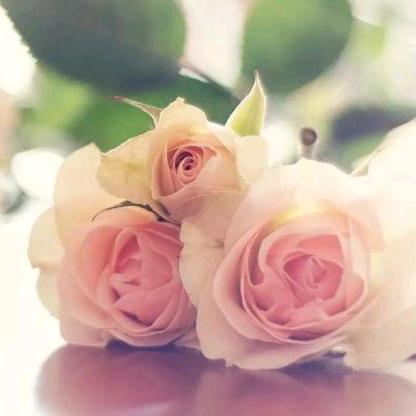 🌈ℋ依🍀꙳᭨ᮩ🍊