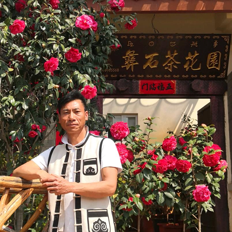 彝石茶花园