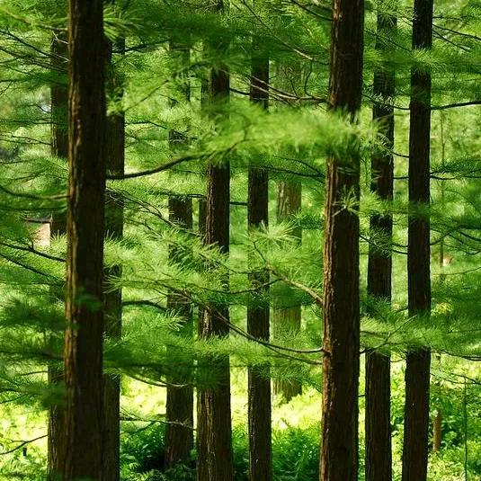 ′一一‘‘一一一一㇏′′′一㇏‘﹥