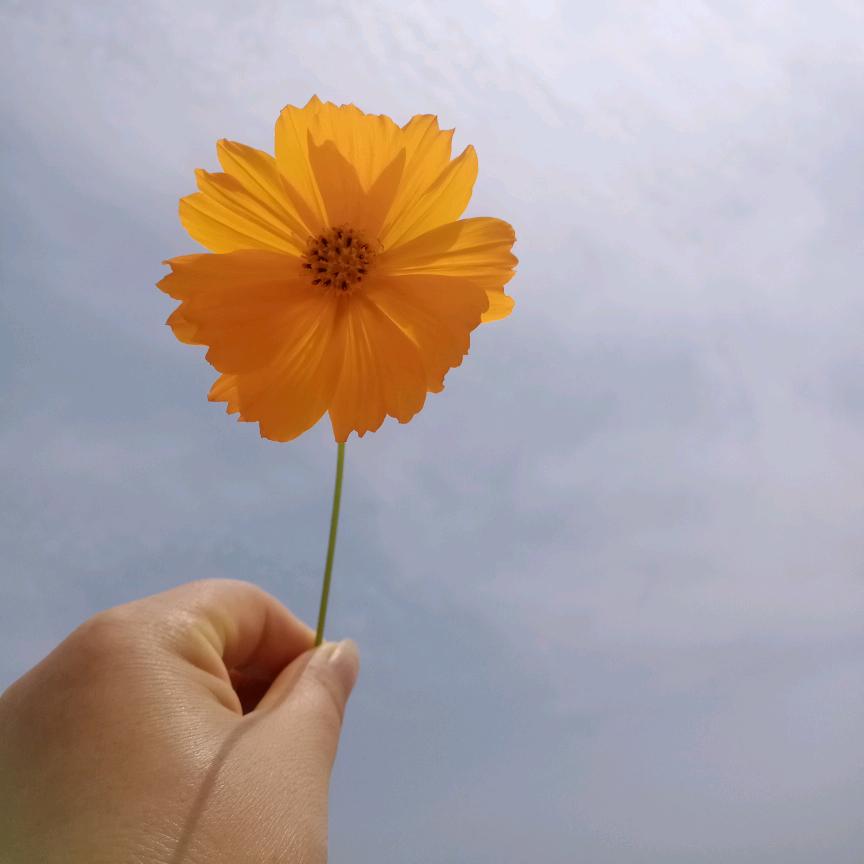 释怀