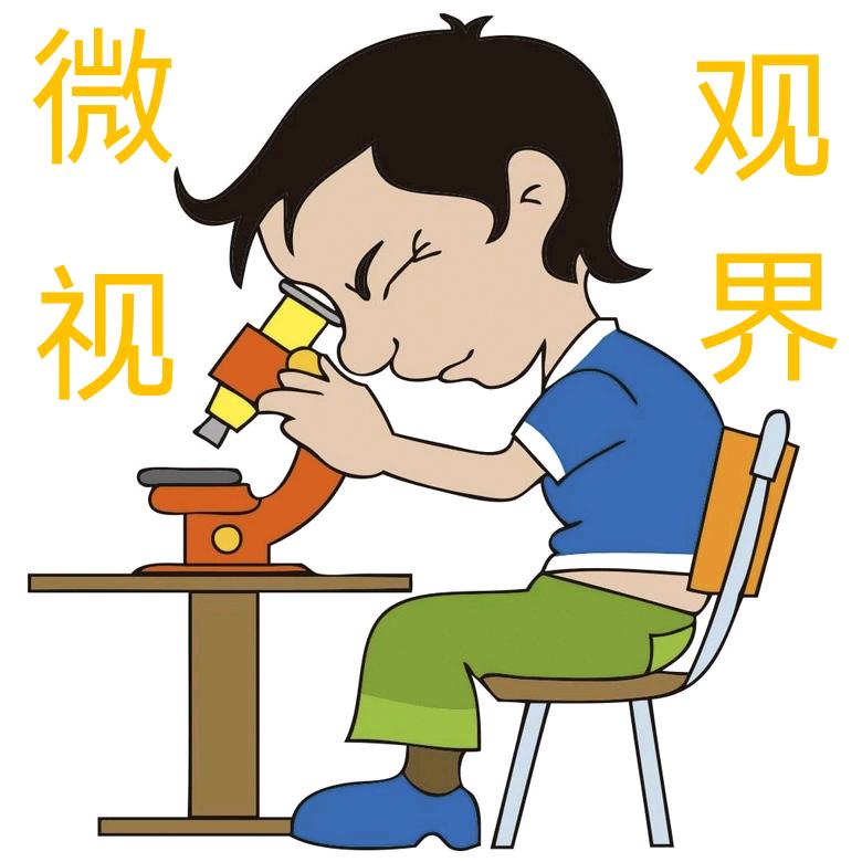 小铵微观一除螨实验