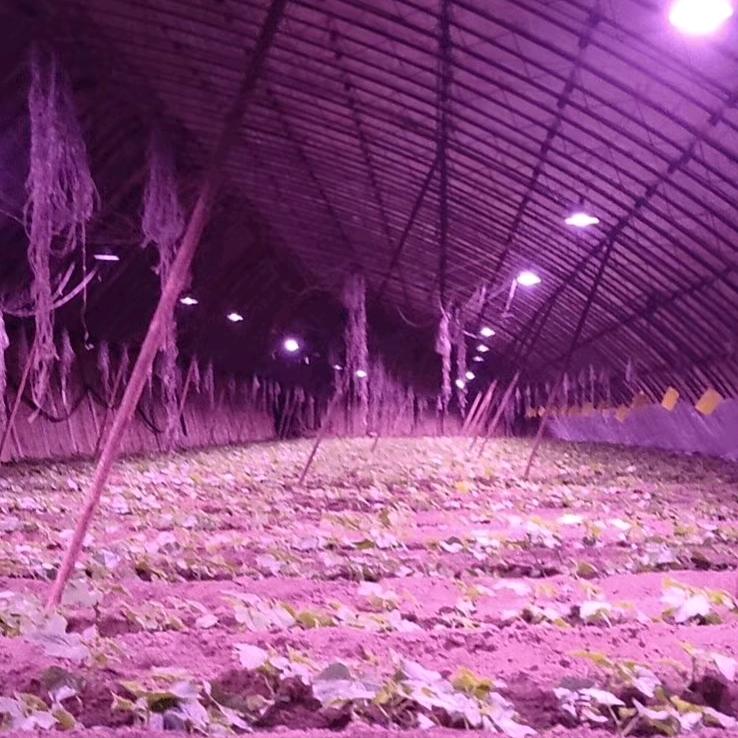 寿光慧控农业科技有限公司