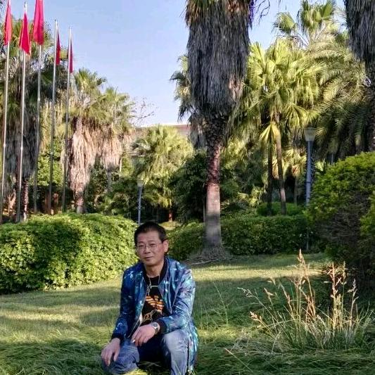 小提琴