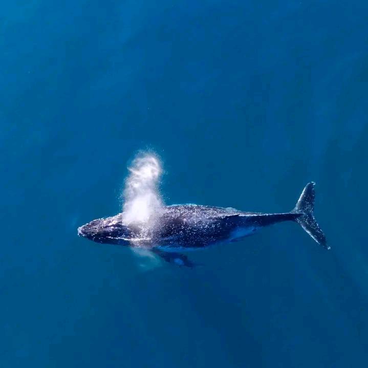 时光不老，你我不散