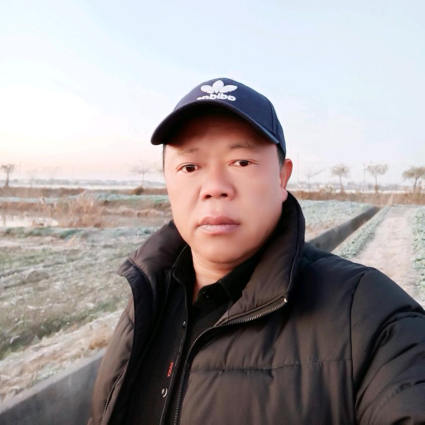 西北狼