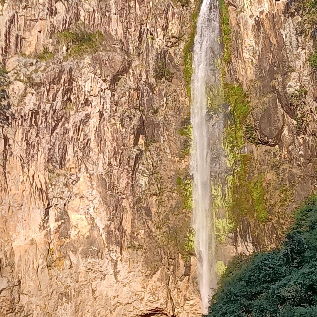 陆行川