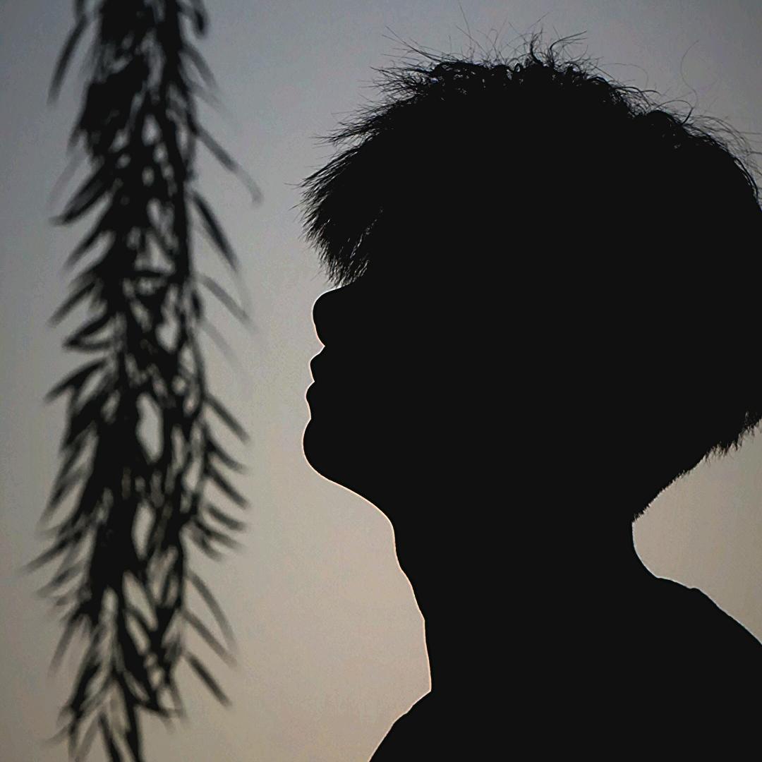 小秦干啥呢