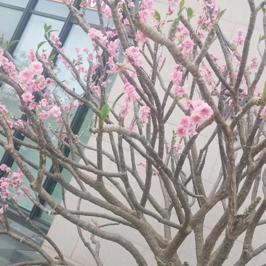 漂泊在外