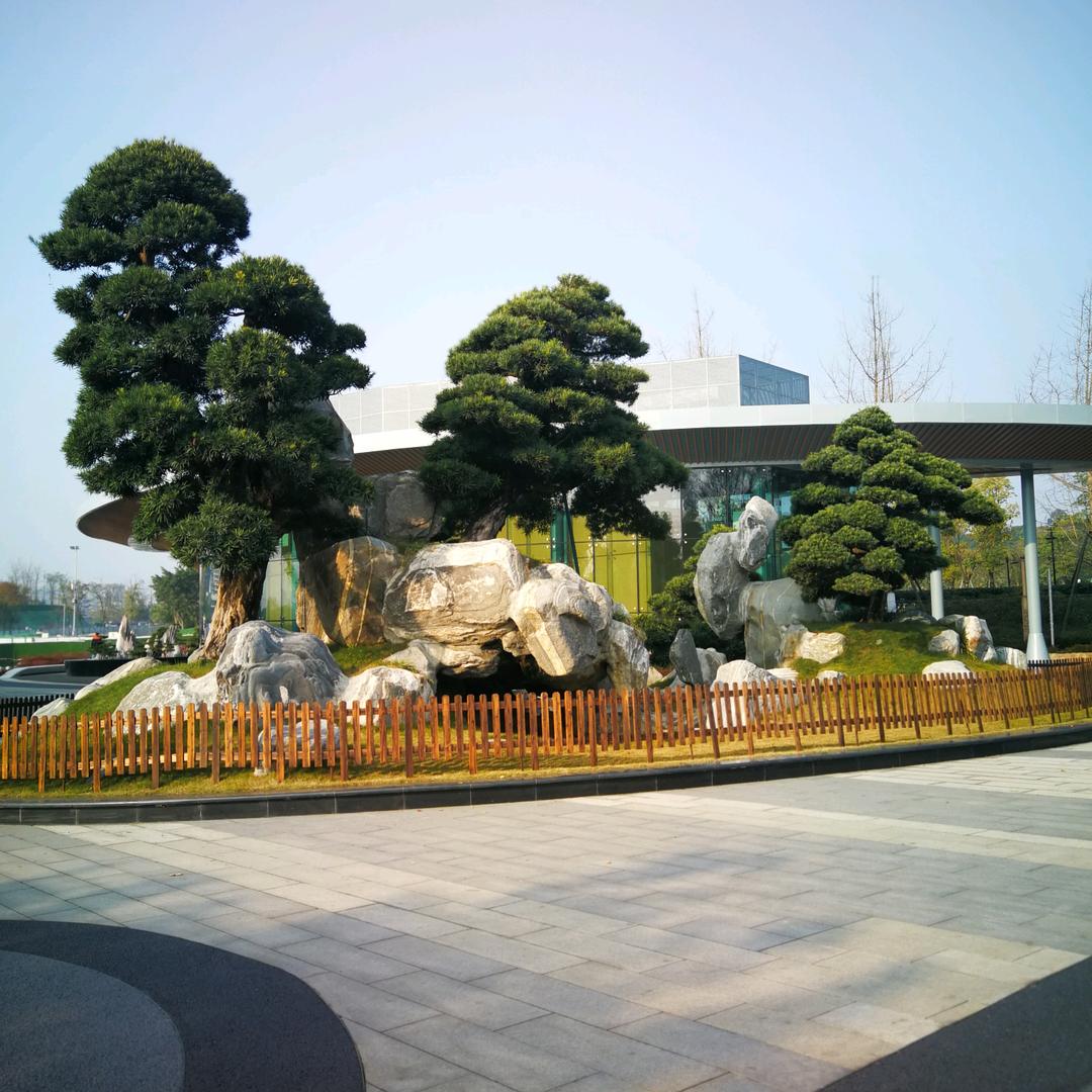 伤心的雪花