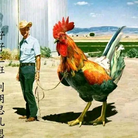焰火灿烂