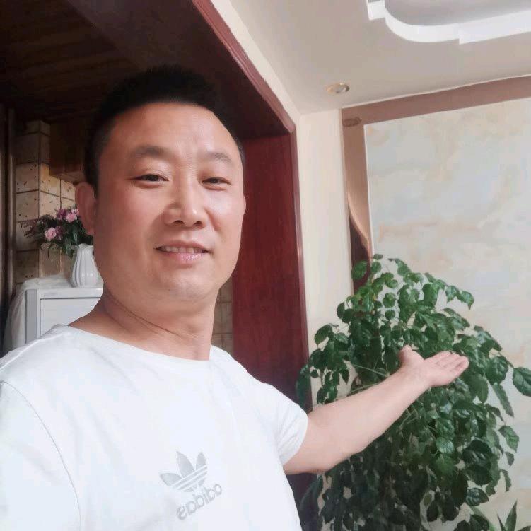 地毯歌（幽默搞笑）