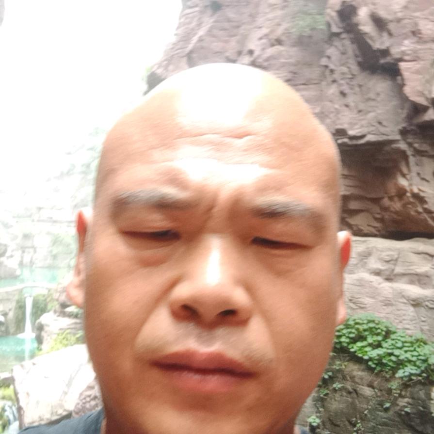 三朵金花加个宝