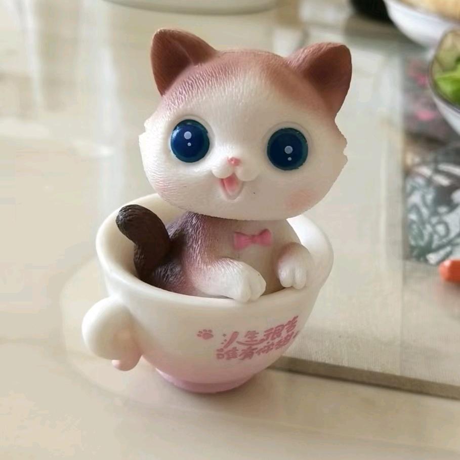静待花开！