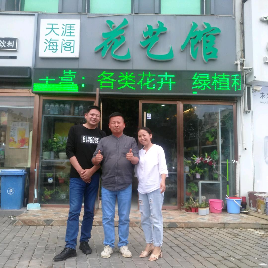 云东书法。