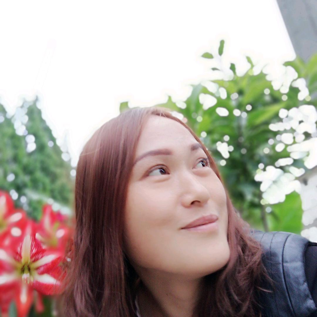 洋县成顺养殖场芬姐养牛