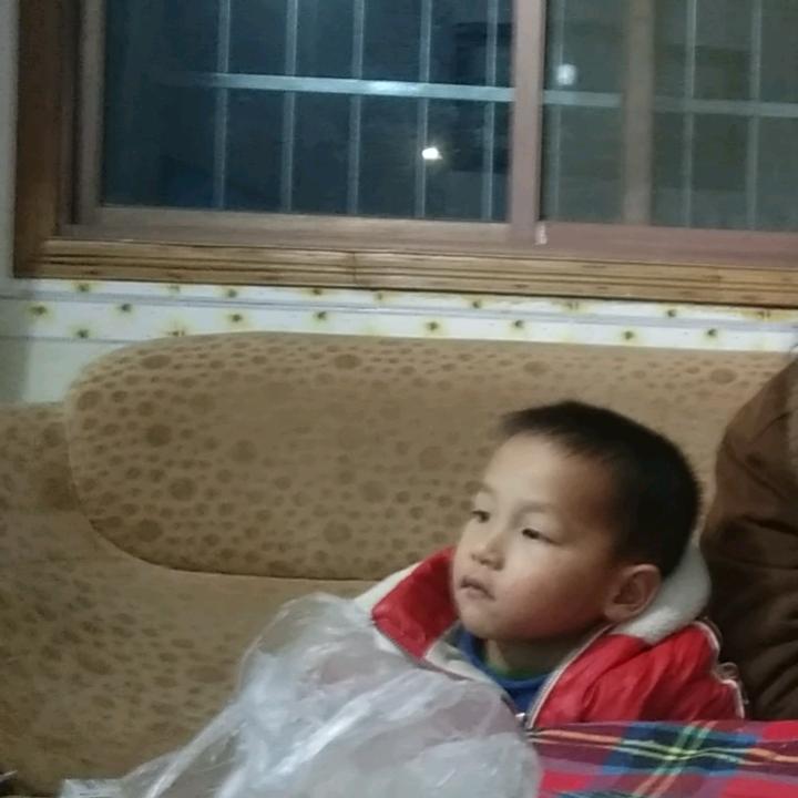 柳奶奶