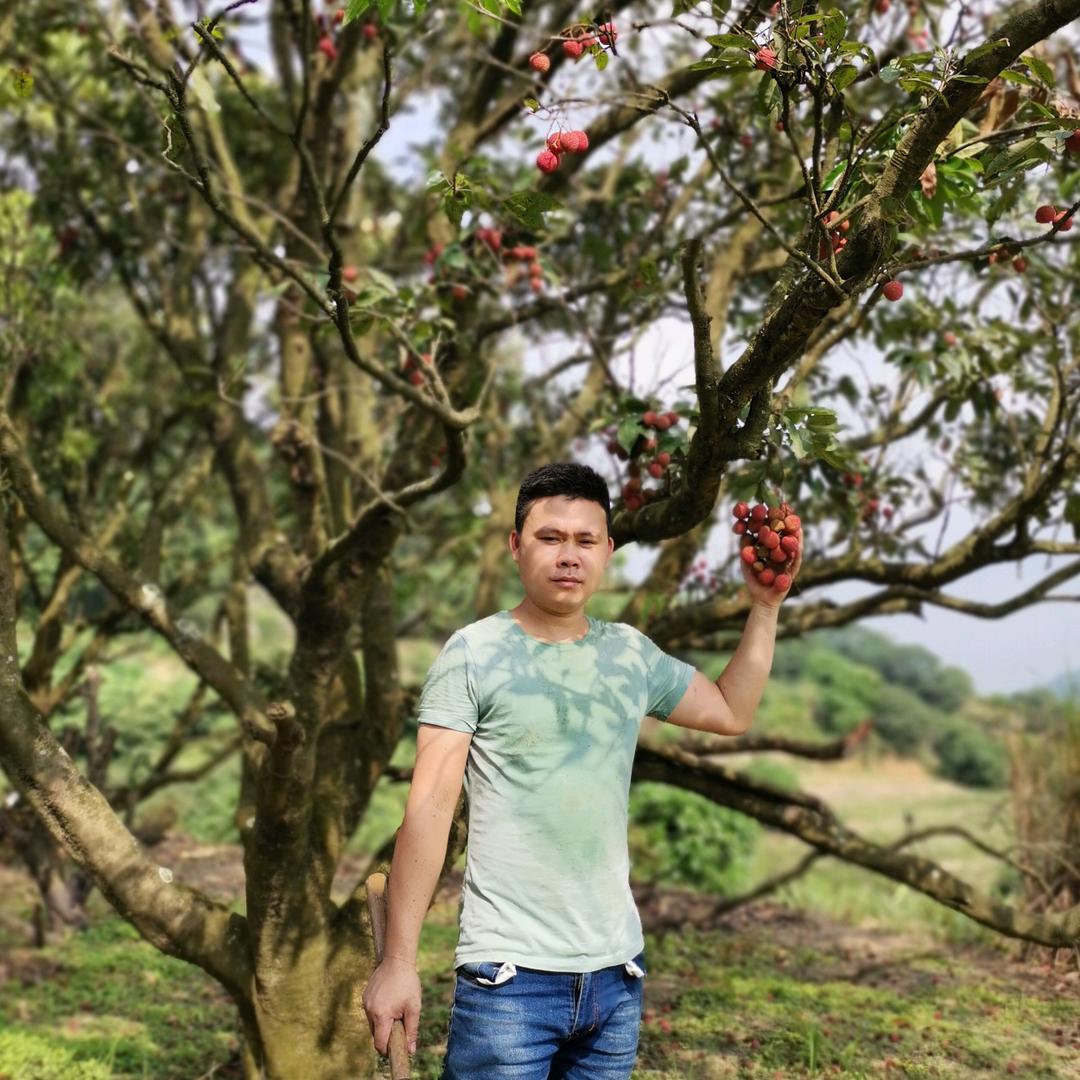 与荣为贵