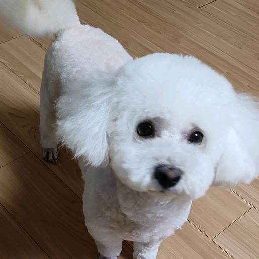我是我你是你头像