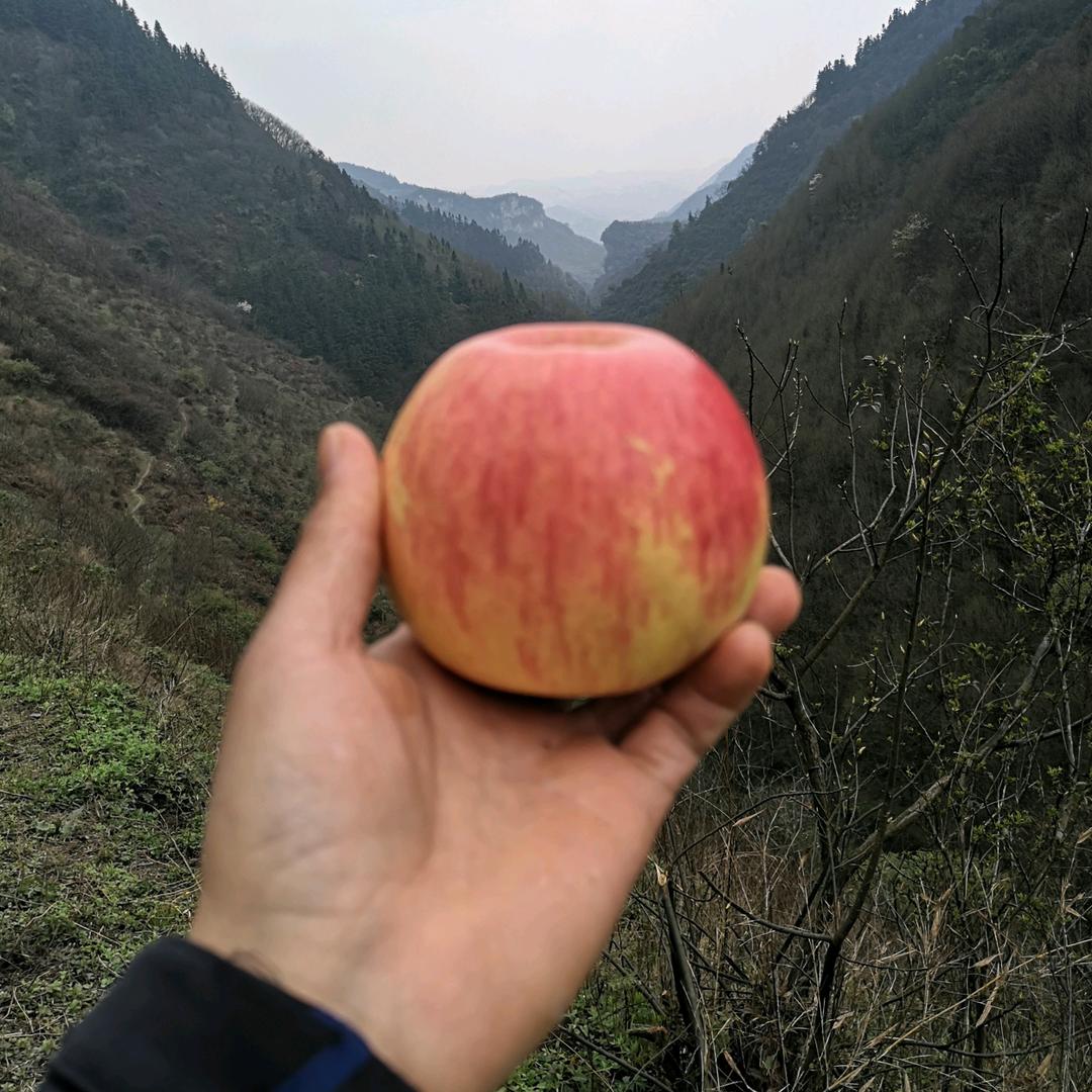 不打工的小农民