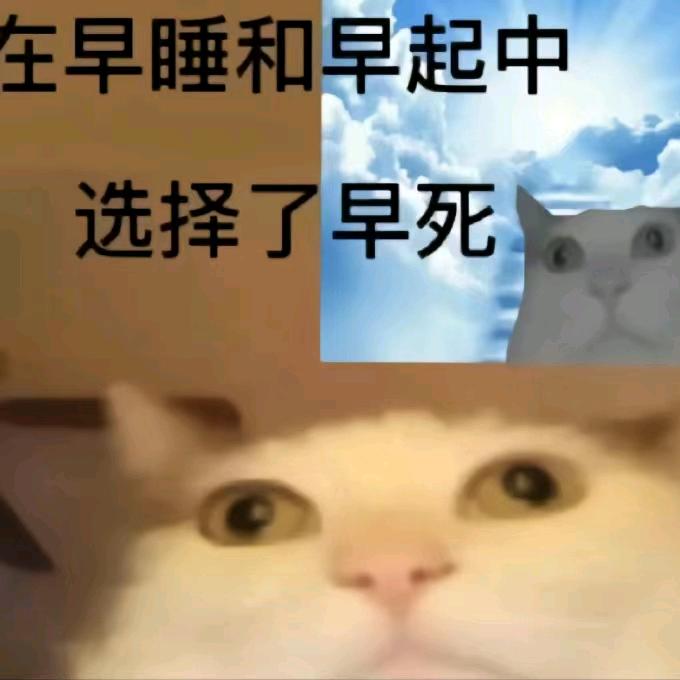 嗯嗷嗷嗷啊